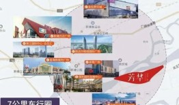 张晓芳事件爆料最新消息,揭秘背后惊人真相