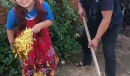 农村爆料搞笑视频大全